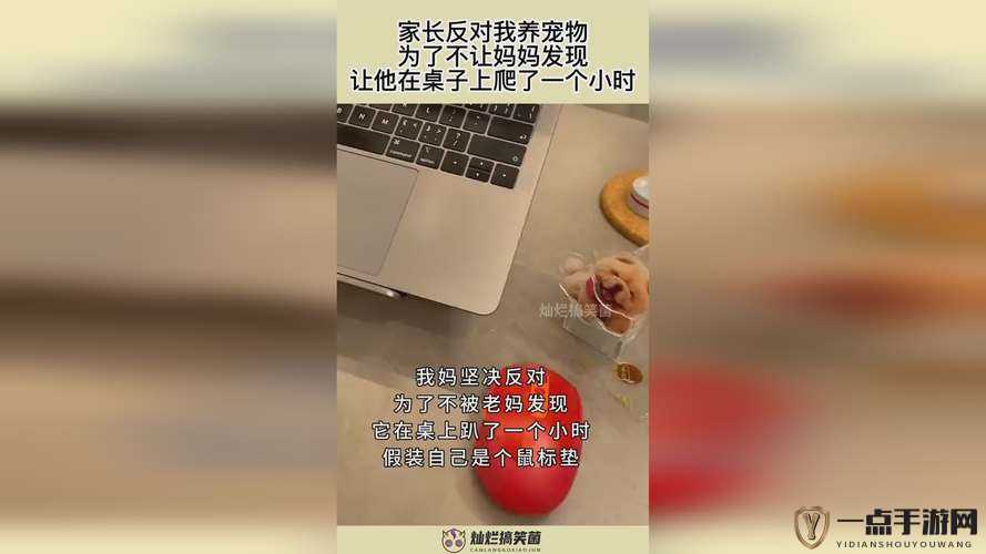 91 精产国品：覆盖范围广泛，满足您的一切需求